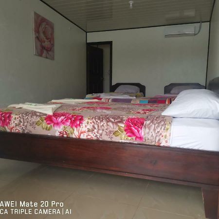 Hotel River View Tortuguero Εξωτερικό φωτογραφία